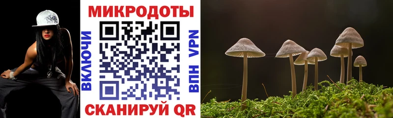 Галлюциногенные грибы Cubensis  Моршанск 